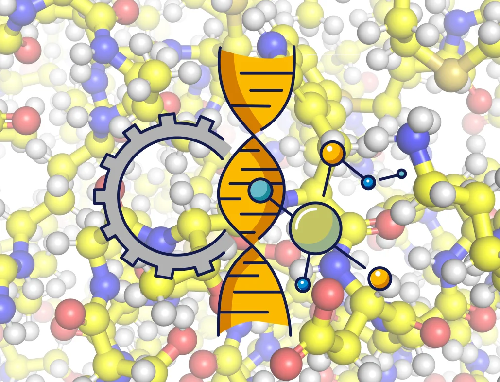 Molekulare Maschinen