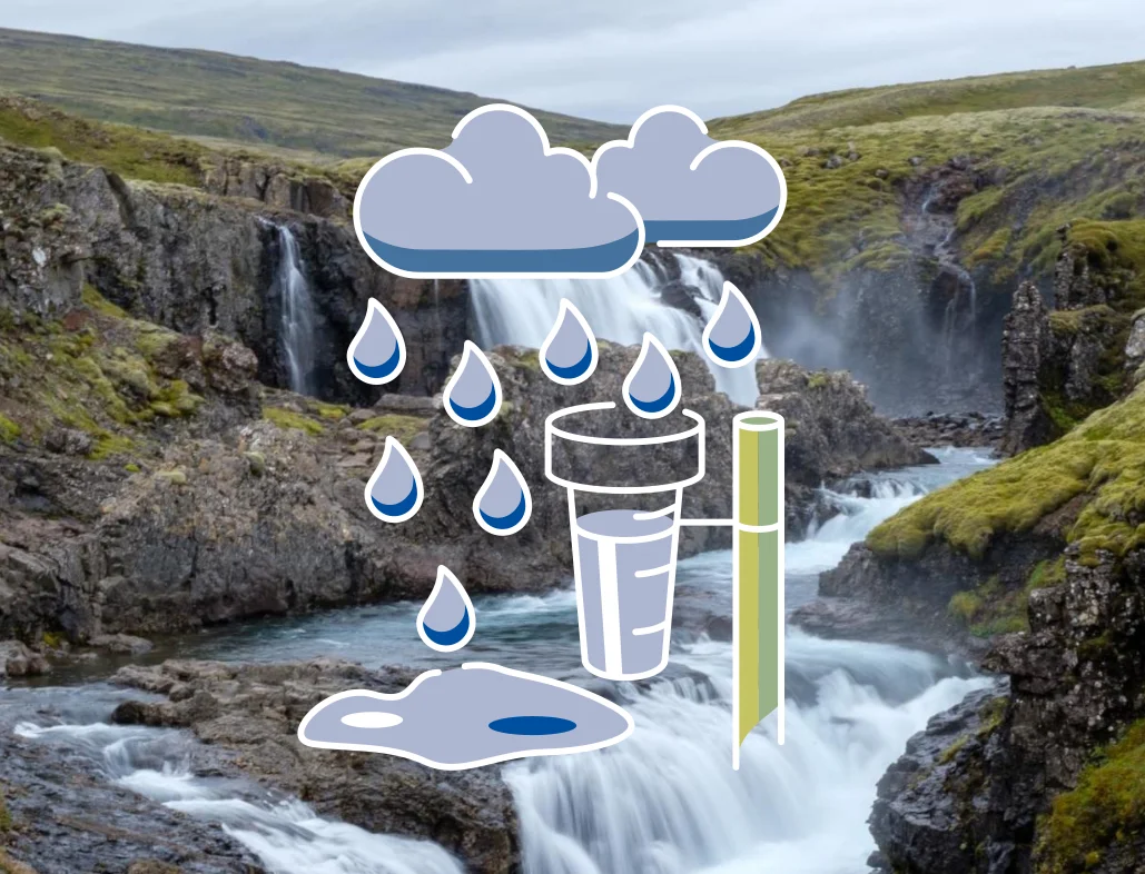 Hydrologische Prozesse